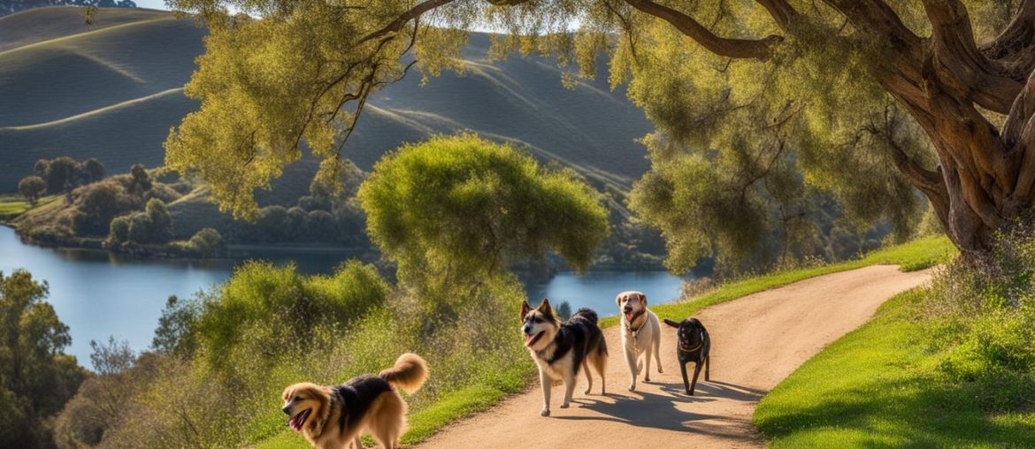 Best Dog-Friendly Hikes in Orange County