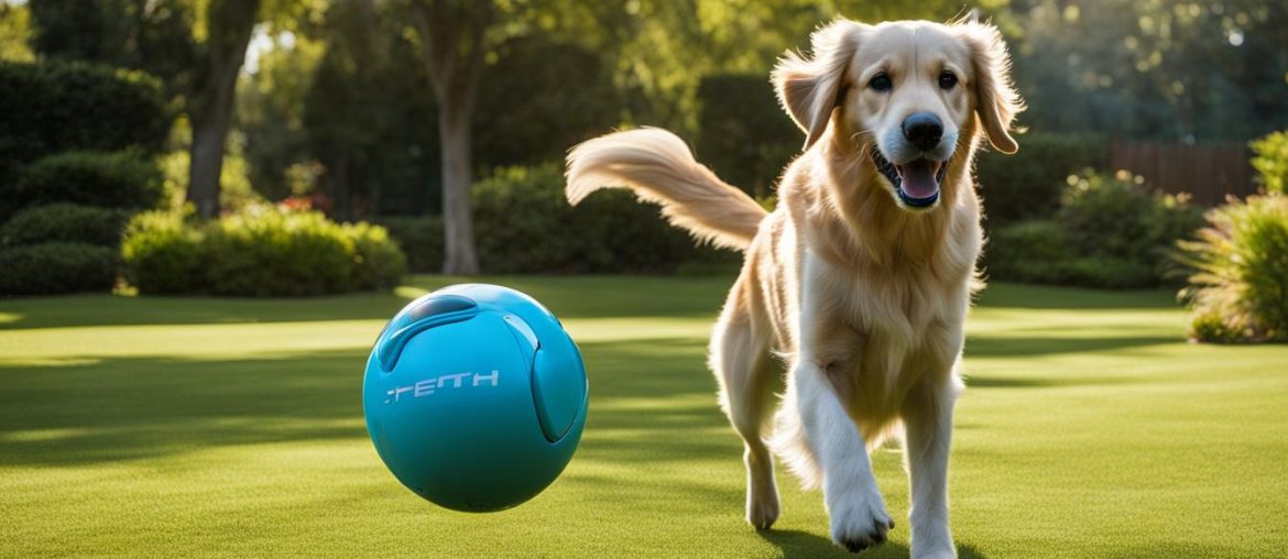 How To Teach Your Dog To Put Ball In Ifetch