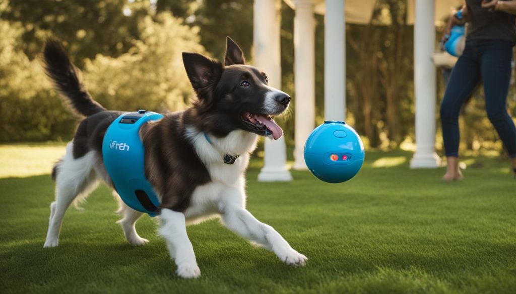 Training your dog to use iFetch