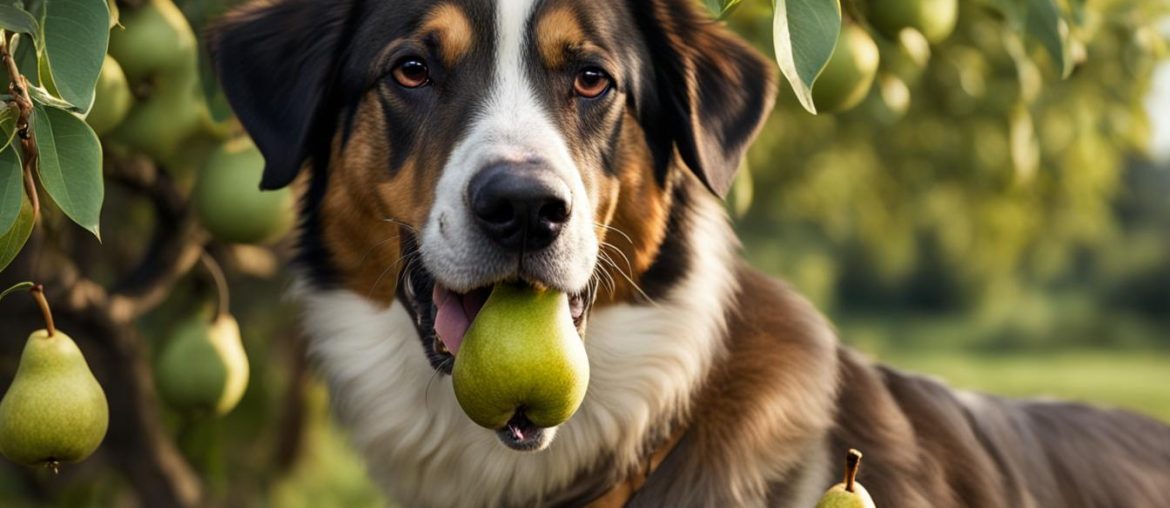 are pears good for dogs