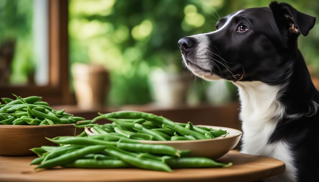 benefits-of-green-beans-for-dogs