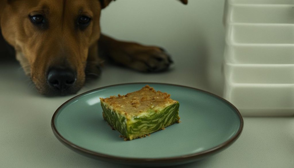 can dogs eat cooked zucchini