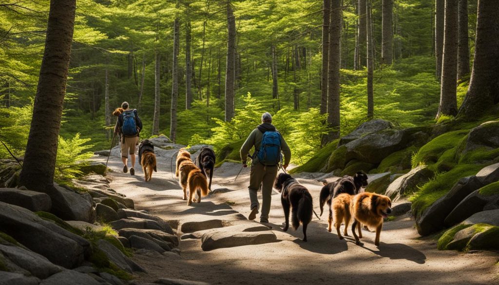 dog-friendly campsites near Maine hiking trails