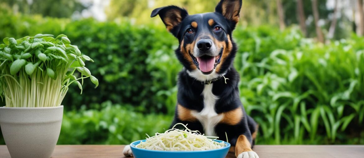 Can Dogs Eat Bean Sprouts