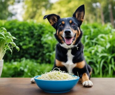 Can Dogs Eat Bean Sprouts