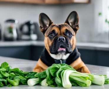 Can Dogs Eat Bok Choy