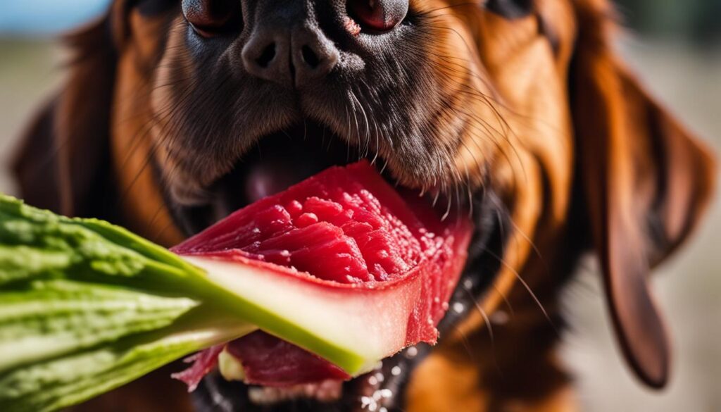 Can Dogs Eat Cooked Rhubarb