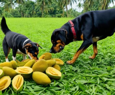 Can Dogs Eat Jackfruit