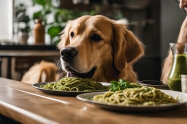 Can Dogs Eat Pesto