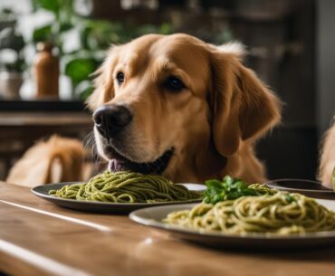 Can Dogs Eat Pesto