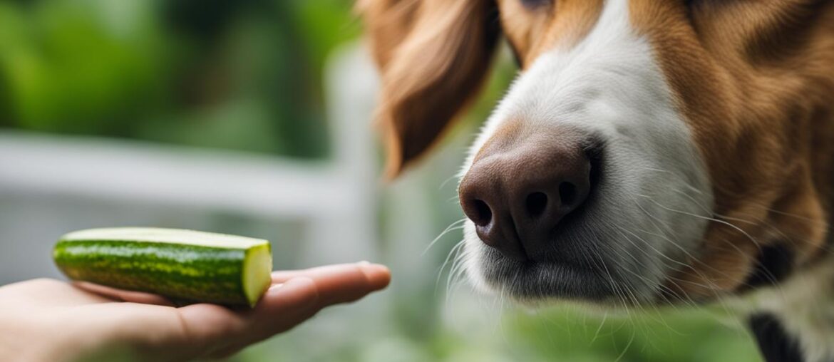 Can Dogs Eat Raw Zucchini