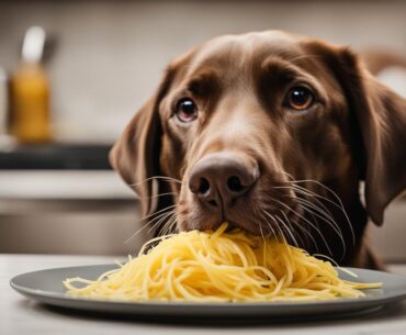 Can Dogs Eat Spaghetti Squash