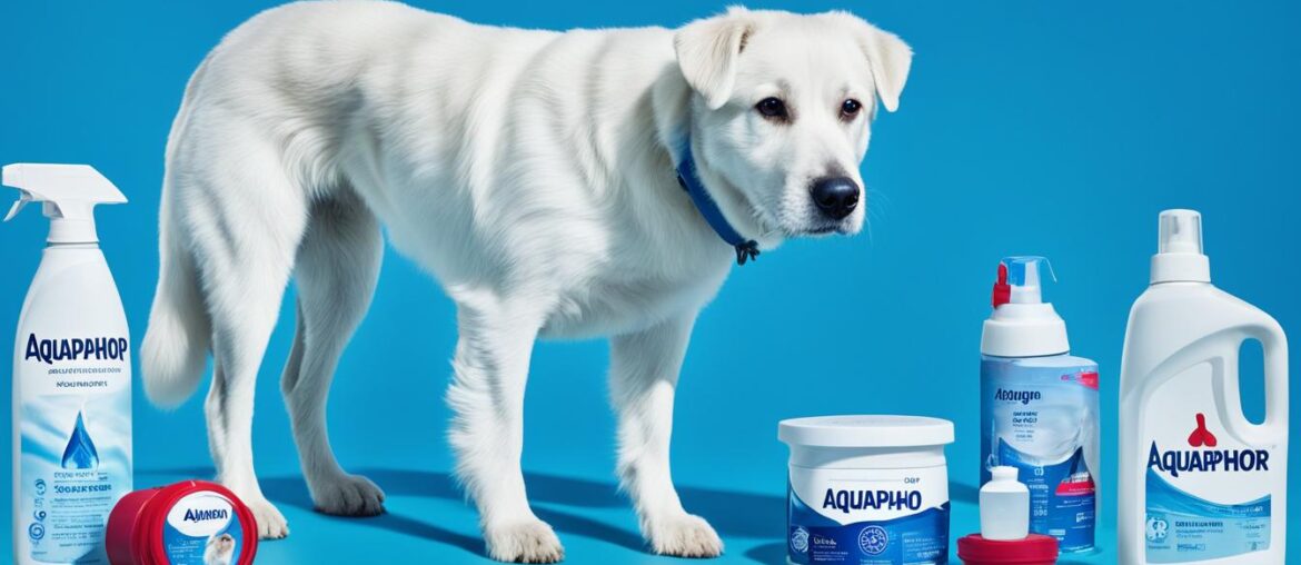 Can I Put Aquaphor On My Dog