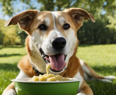 Is Applesauce Good For Dogs