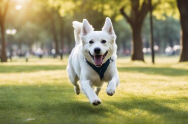 What Is Bordetella Vaccine For Dogs