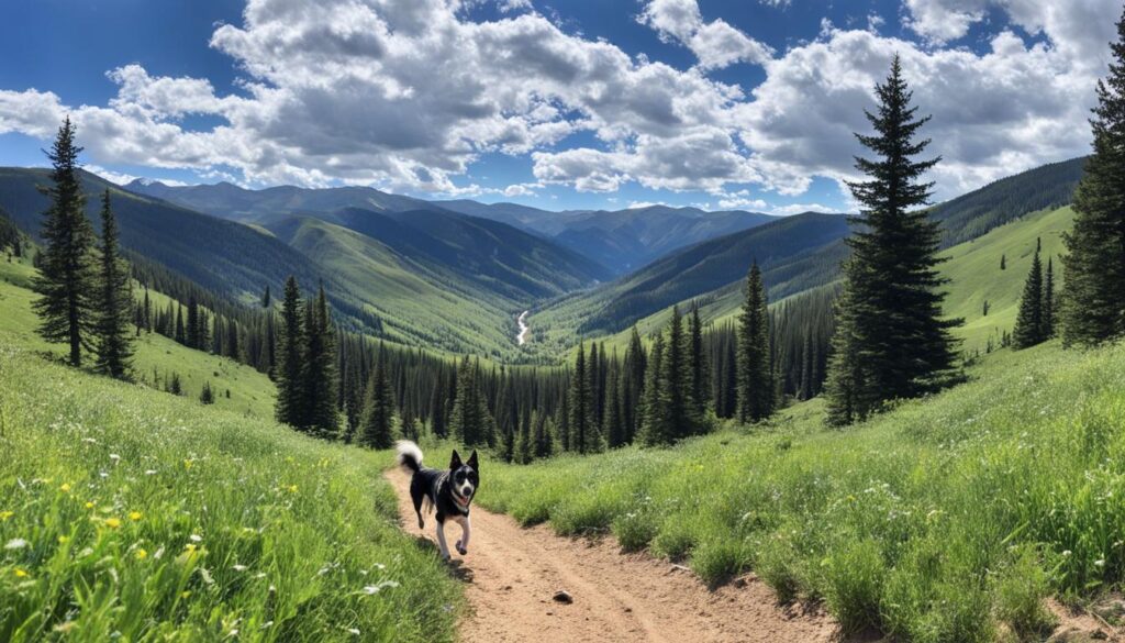 dog friendly hiking trails in Colorado