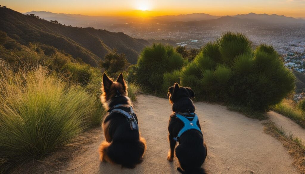 dog friendly hiking trails in LA