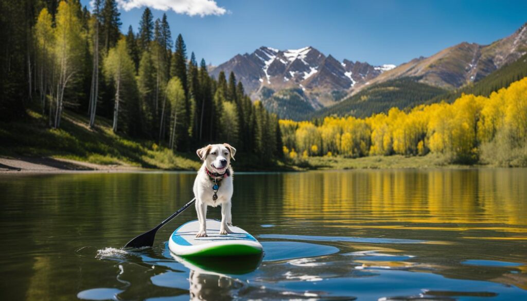 dog friendly paddleboarding in Colorado