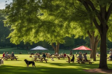 dog friendly things to do in houston