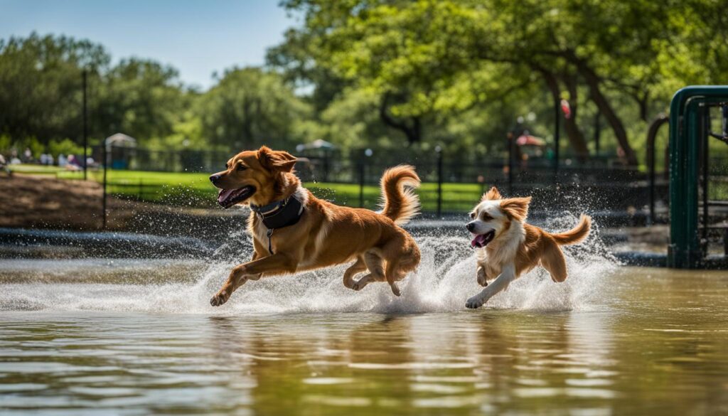 dog parks in Austin